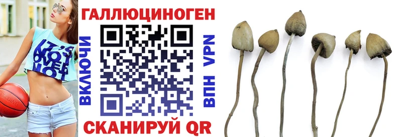 купить наркотик  Новая Усмань  Псилоцибиновые грибы ЛСД 